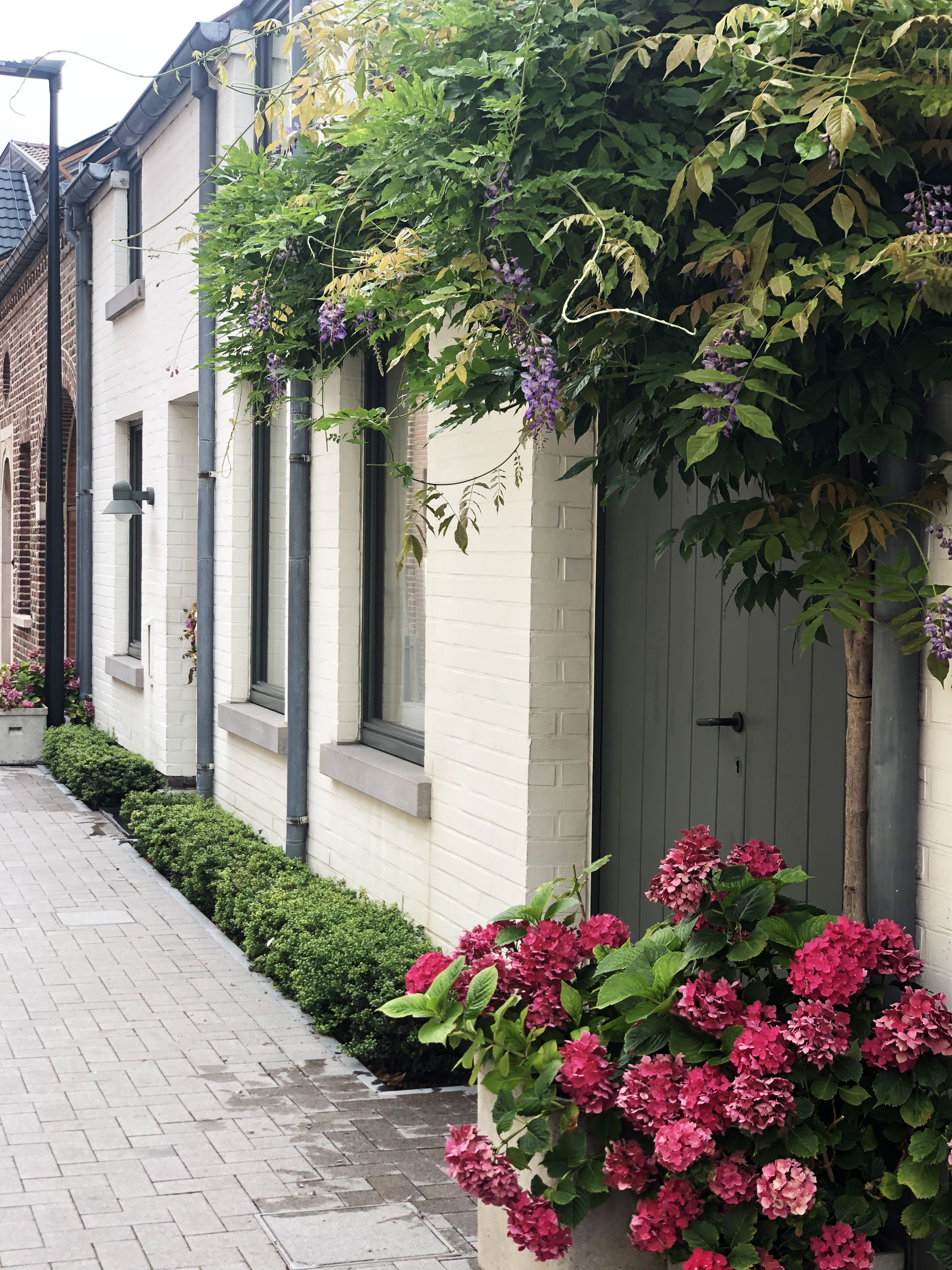 geveltuin bree