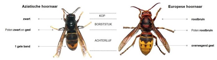 Afbeelding verwijderd.