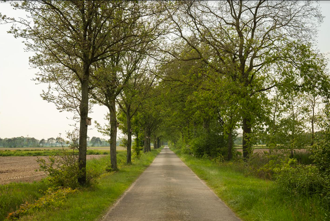 Schaafdijkstraat - foto Marleen Gabriels
