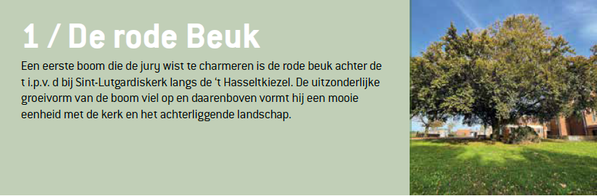 Afbeelding verwijderd.