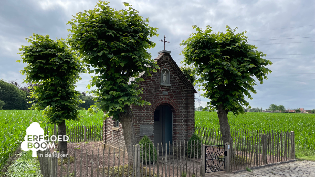 Afbeelding verwijderd.