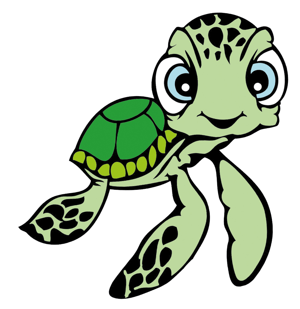 schildpadjes