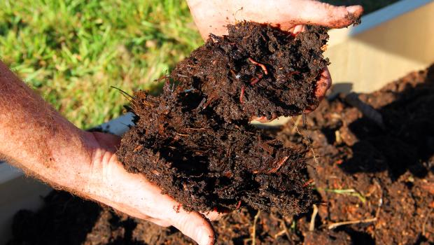 compost