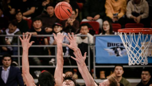 sportpubliek