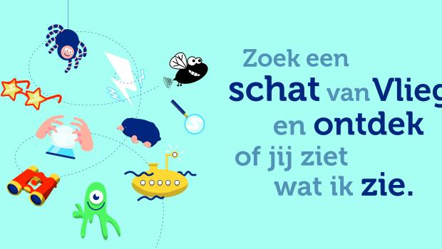 schatten van vlieg