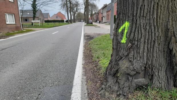 Beeld