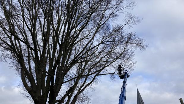 Beeld