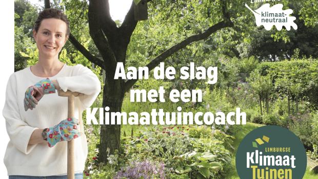 beeld