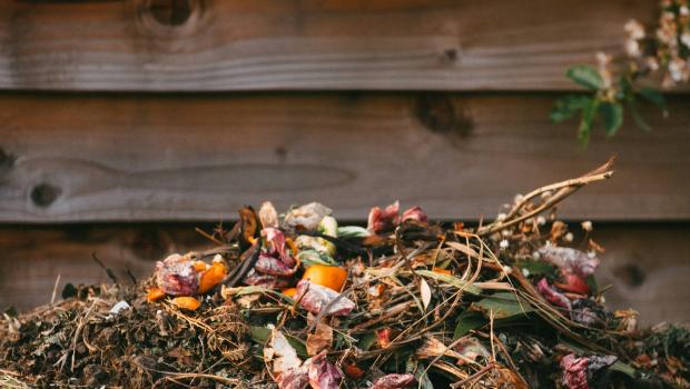 compost