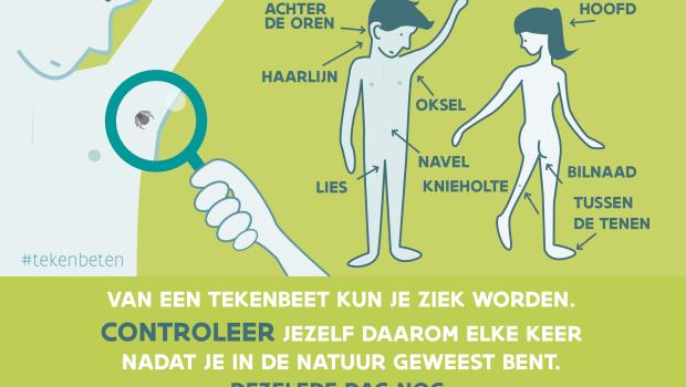 beeld