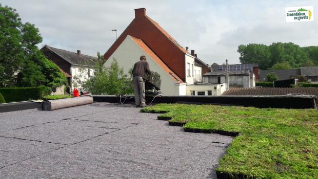 groendak in aanleg