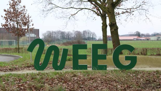 Weeg