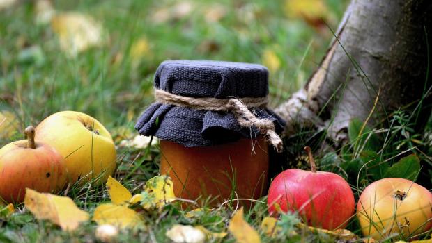 appelboom
