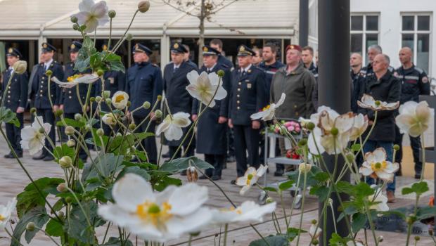 beeld