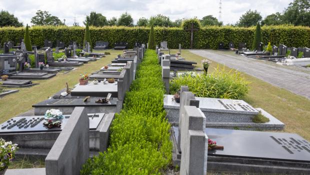 beeld