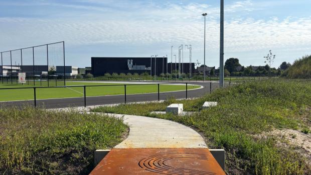 beeld